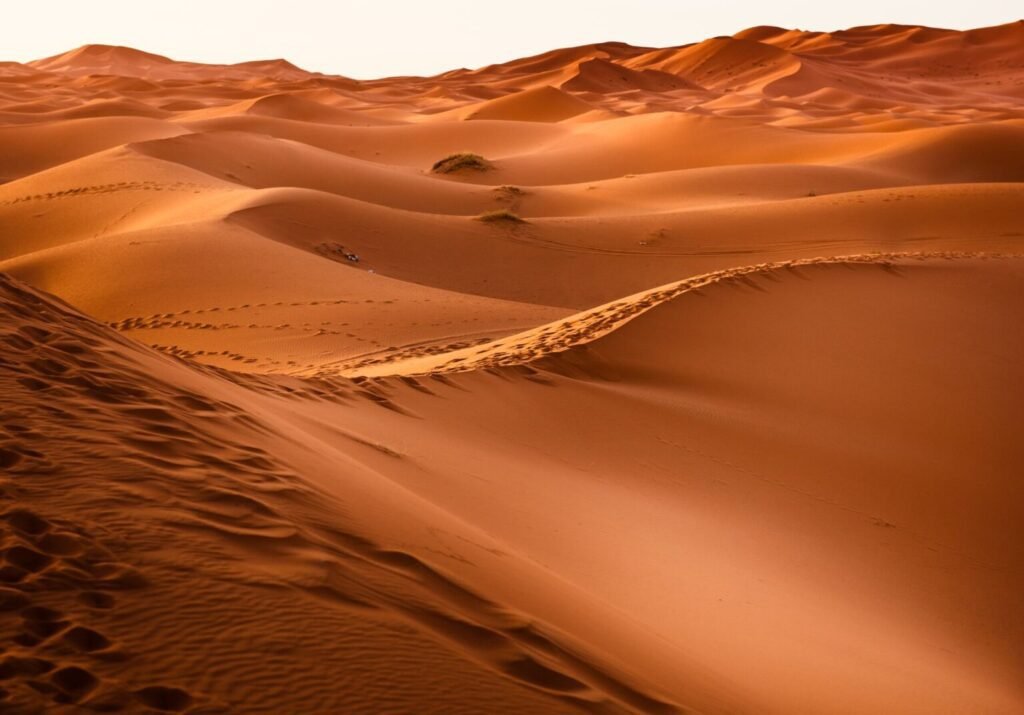 Red Sands of Riyadh